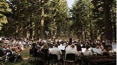 Dawns Symphony Philadelphias Sunrise Unveils Natures Orchestra