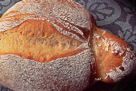 Papo Secos Portuguese Bread Rolls Recipe