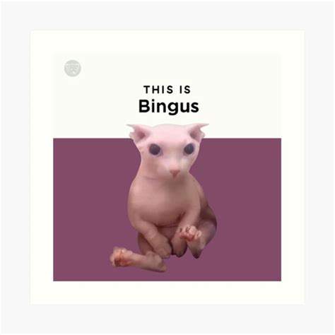 This Is Bingus Hd Art Print For Sale By Rzera Redbubble