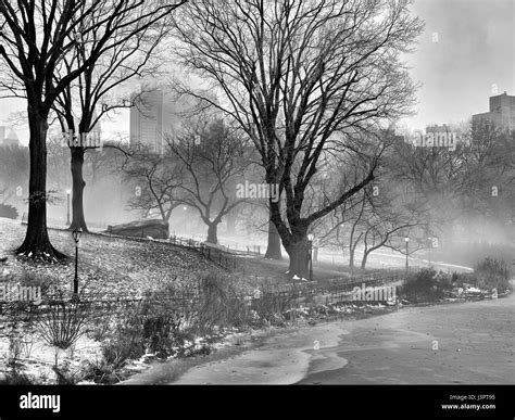 Central Park New York City With Ice Snow And Fog In Early Morning