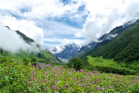 Hemkund Sahib And The Valley Of Flowers Short Trek Itinerary