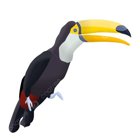 Gambar Toucan Yang Fantastis Toucan Burung Cantik Png Dan Vektor