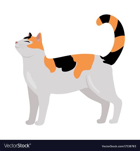 Calico Cat Flat Design Royalty Free Vector Image