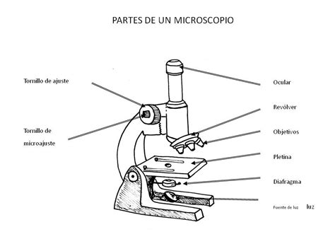 Microscopio Y Sus Partes Para Dibujar Compuesto