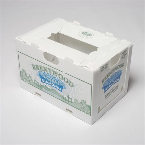 Customized Pp Corrugated Plastic Shipping Box Foldable Moving Box For