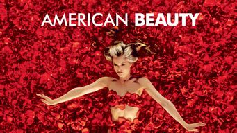 American Beauty Hbo Max Flixable