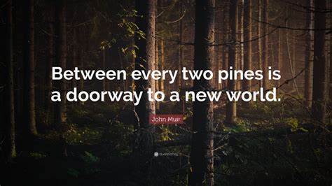 John Muir Quote “between Every Two Pines Is A Doorway To A New World”
