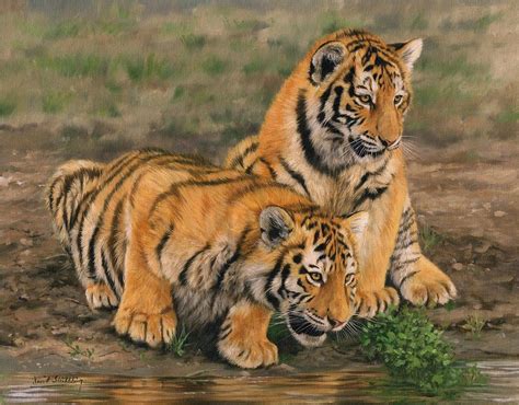 Tiger Cubs Painting By David Stribbling Fine Art America