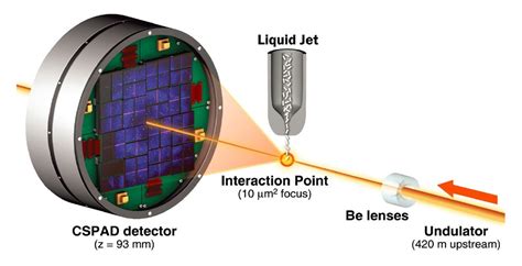 Worlds Most Powerful X Ray Laser Images Biomolecules At Ultra High Resolution Kurzweil