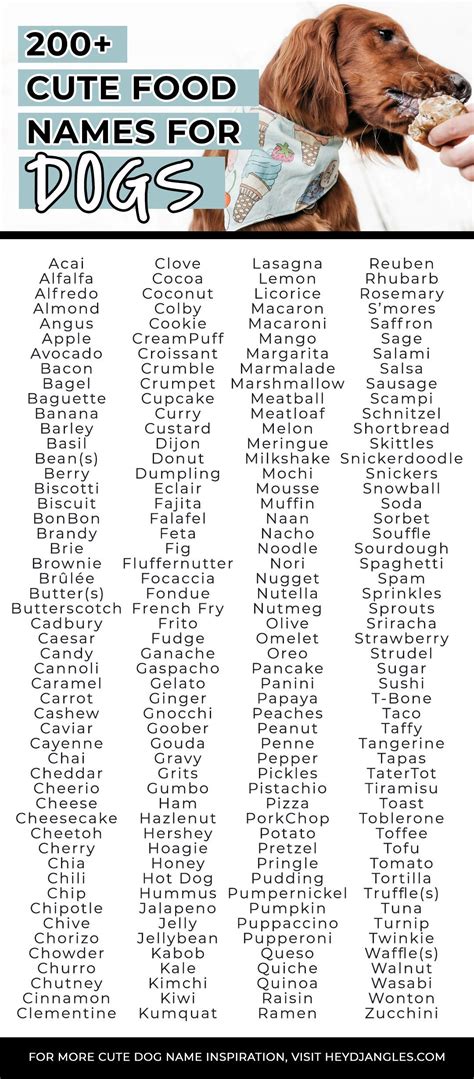 200 Cute Food Names For Dogs Hey Djangles In 2022 Food Names