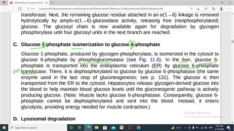 Glycogen Metabolism Glycogenolysis Youtube