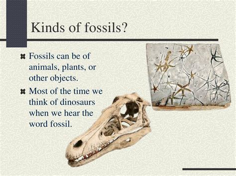 Ppt Fossils Powerpoint Presentation Free Download Id 2161925