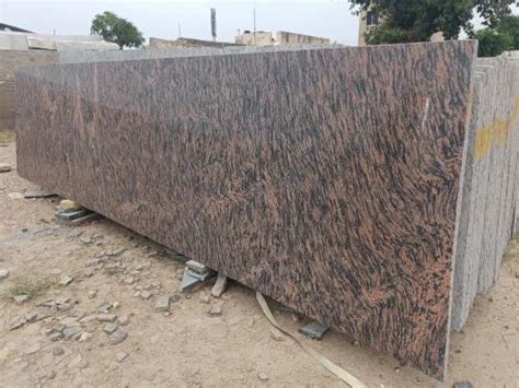Tiger Skin Granites Slab At Rs 62 Square Feet Kishangarh ID