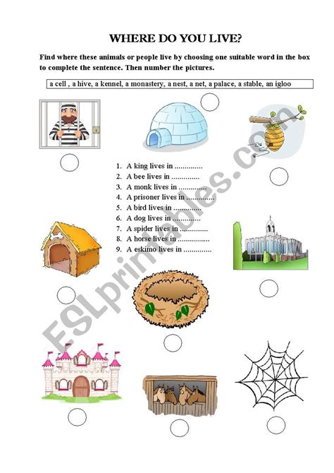 Where Do You Live Esl Worksheet By Thuydothiulis0202