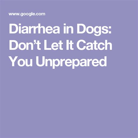 Diarrhea In Dogs Dont Let It Catch You Unprepared Diarrhea In Dogs