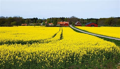 What Are The Biggest Industries In Sweden Worldatlas