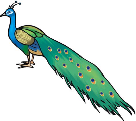 Download 140 peacock clipart cliparts for free. Free Peacock Clipart