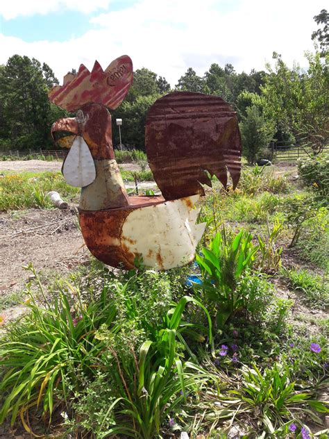 Chicken invaders (dos version) attack:occasionally shoot an egg. Big Chicken Daylily Farm