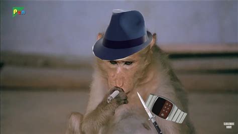 New Spy cosmetics leaked for scream fortress 2018. : tf2