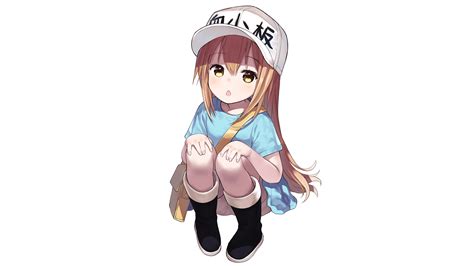 Fondos De Pantalla Anime Manga Chicas Anime Fondo Simple Minimalismo Hataraku Saibou