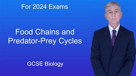 Gcse Biology Revision Food Chains And Predator Prey Cycles Youtube