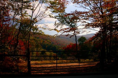 Autumn Colors Hillside Country Gate Forest Foliage Autumn Fall Nature