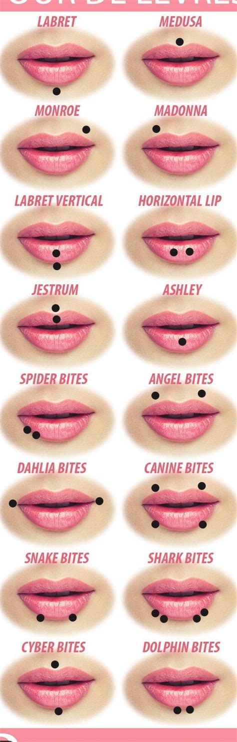 Pin By Melissa Santo On Piercings Lip Piercing Names Different Lip