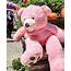 Sweet Pink Giant Teddy Bear 160CM / 63 Inches Best Gift  Etsy