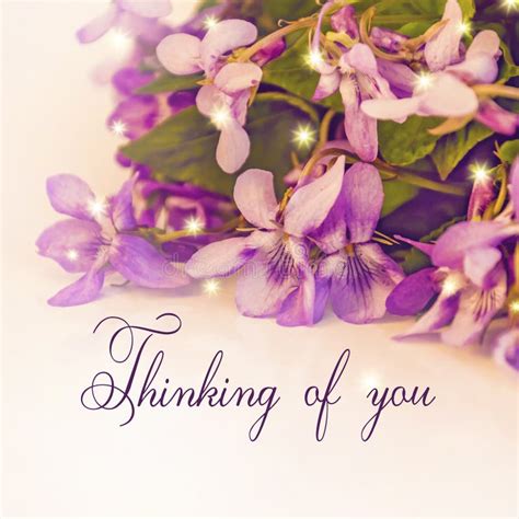 Thinking Of You Card Violet Flowers Stock Image Image Of
