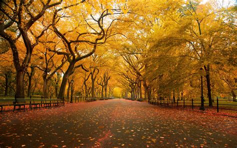 Aphoenixd 4 Seasons New Yorks Central Park Usa