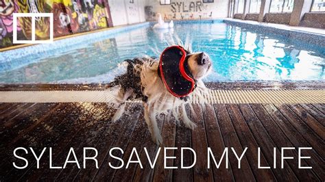 My Dog Sylar Saved My Life Youtube