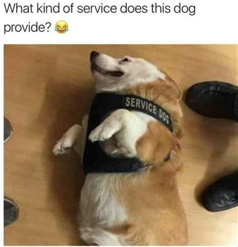 I Want A Disability That Matches This Dogs Service Skills Meme Guy
