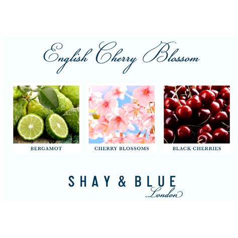 Shay And Blue English Cherry Blossom Eau De Parfum 100ml Qvc Uk