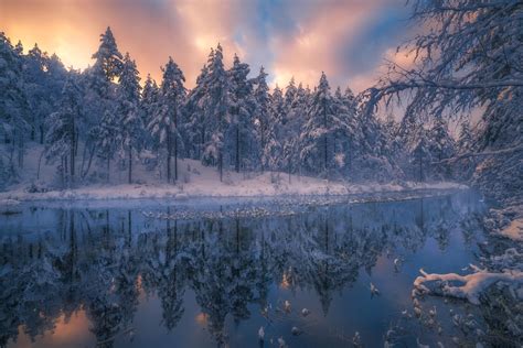 Snow River Winter Reflection Tree Nature Wallpaper