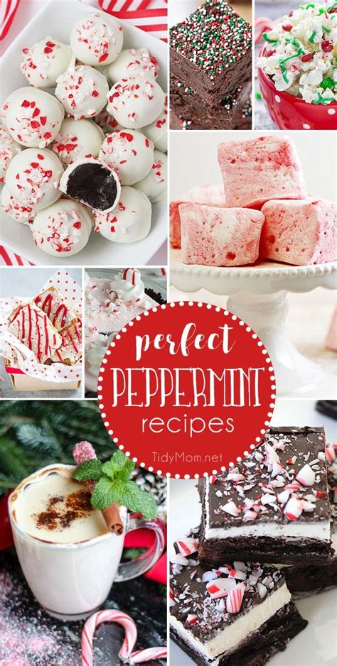 Perfect Peppermint Recipes For The Holidays Tidymom®