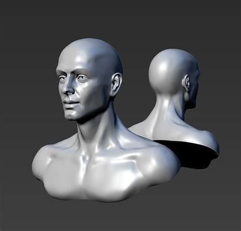 Young Man Head 3d Model 3d Printable Cgtrader