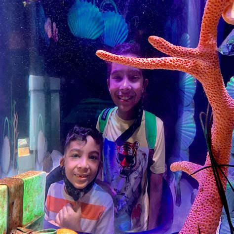 Sea Life Aquarium And Legoland Discovery Center — Life With Gina G