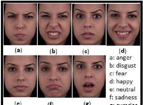 Seven Basic Emotions Pictures Courtesy Mug Database At Each Iteration