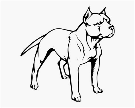 How To Draw A Pitbull Puppy