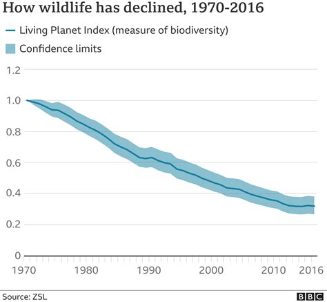 野生生物が「壊滅的減少」 過去50年で3分の2が減る＝wwf Bbcニュース