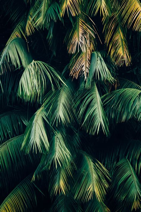 Choose from the best android wallpapers, perfect for your phone background or lockscreen. Download Android Wallpapers | Unsplash