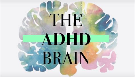 Understanding The Scattered Adhd Brain Faculty Of Health Sciences