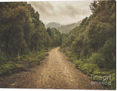 Classic Old Dirt Road Landscape In Australia Acrylic Print By Jorgo