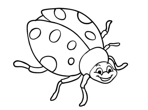 Select from 35919 printable coloring pages of cartoons, animals, nature, bible and many more. Ladybird Colouring Pages at GetColorings.com | Free ...