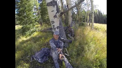 The weather was hot and the elk were not bugling much. 2014 DIY Colorado Elk Hunting Trip - YouTube