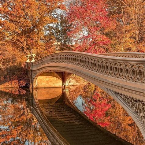 Bow Bridge In Autumn Central Park Bridges Cross River Design