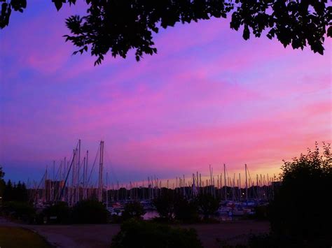 Gorgeous Sunset Tones Of Lilac And Persian Lilac Red Viol Flickr