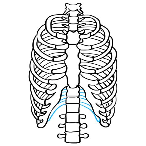 Rib Cage Tumblr Coloring Pages