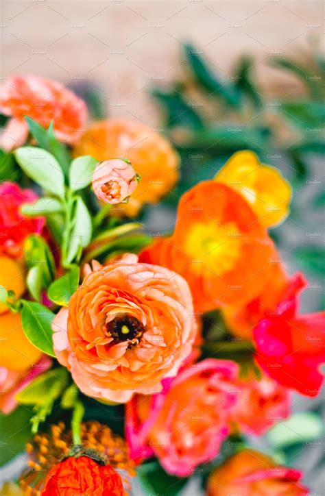 We did not find results for: Bright Bold Flowers in Orange & Pink ~ Nature Photos ...