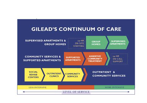 Continuum Of Care Gilead Community Servicesgilead Community Services